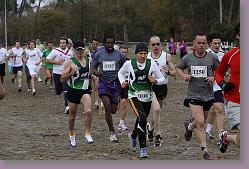Gujan cross 28.11.09 02 515 * 640 x 427 * (131KB)